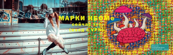 СК Медногорск
