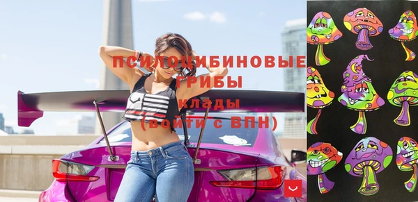 spice Медвежьегорск