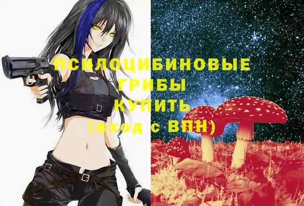 spice Медвежьегорск
